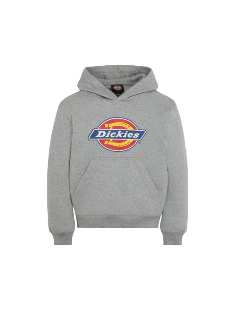 YOUTH LOGO HOODIE  0H21