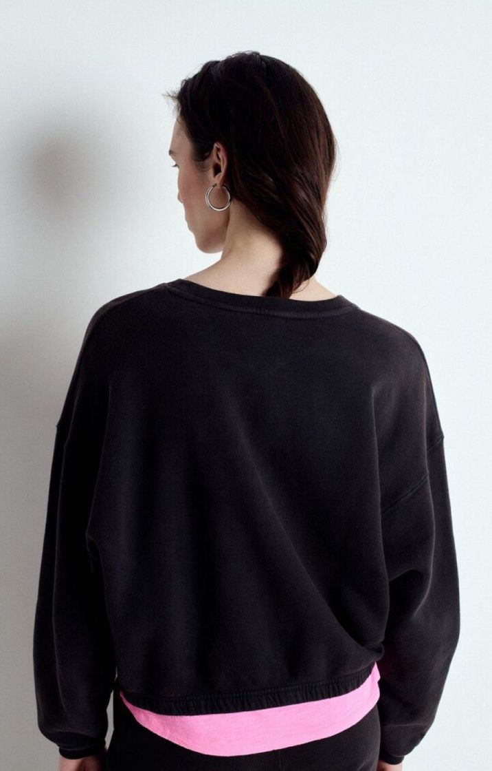 IZUBIRD REGLISSE VINT